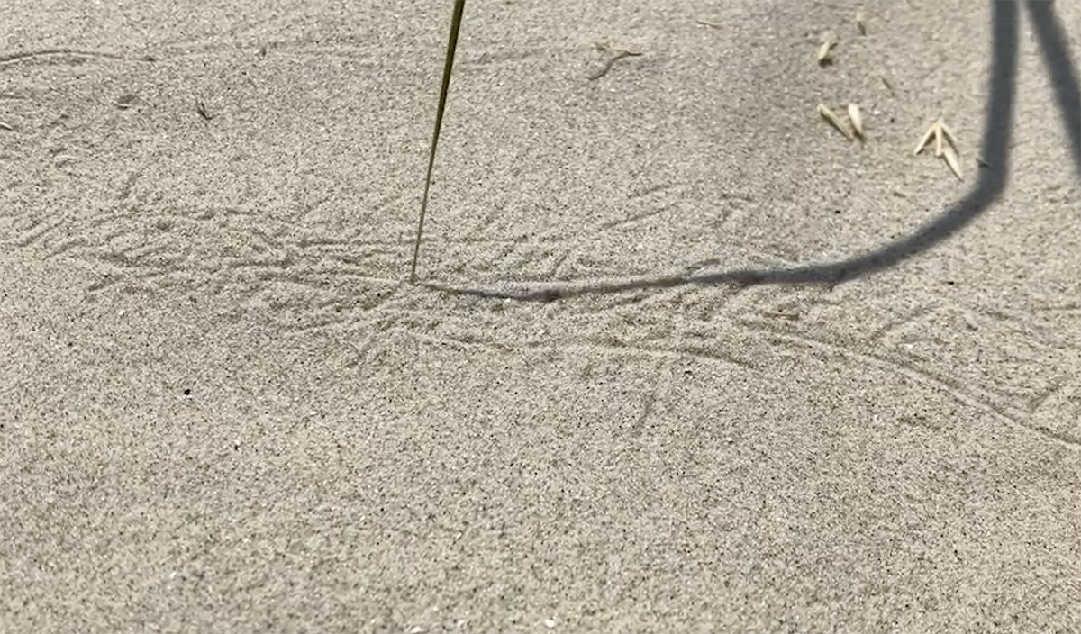 Scherm­afbeelding%202024 04 22%20om%2015.25.55