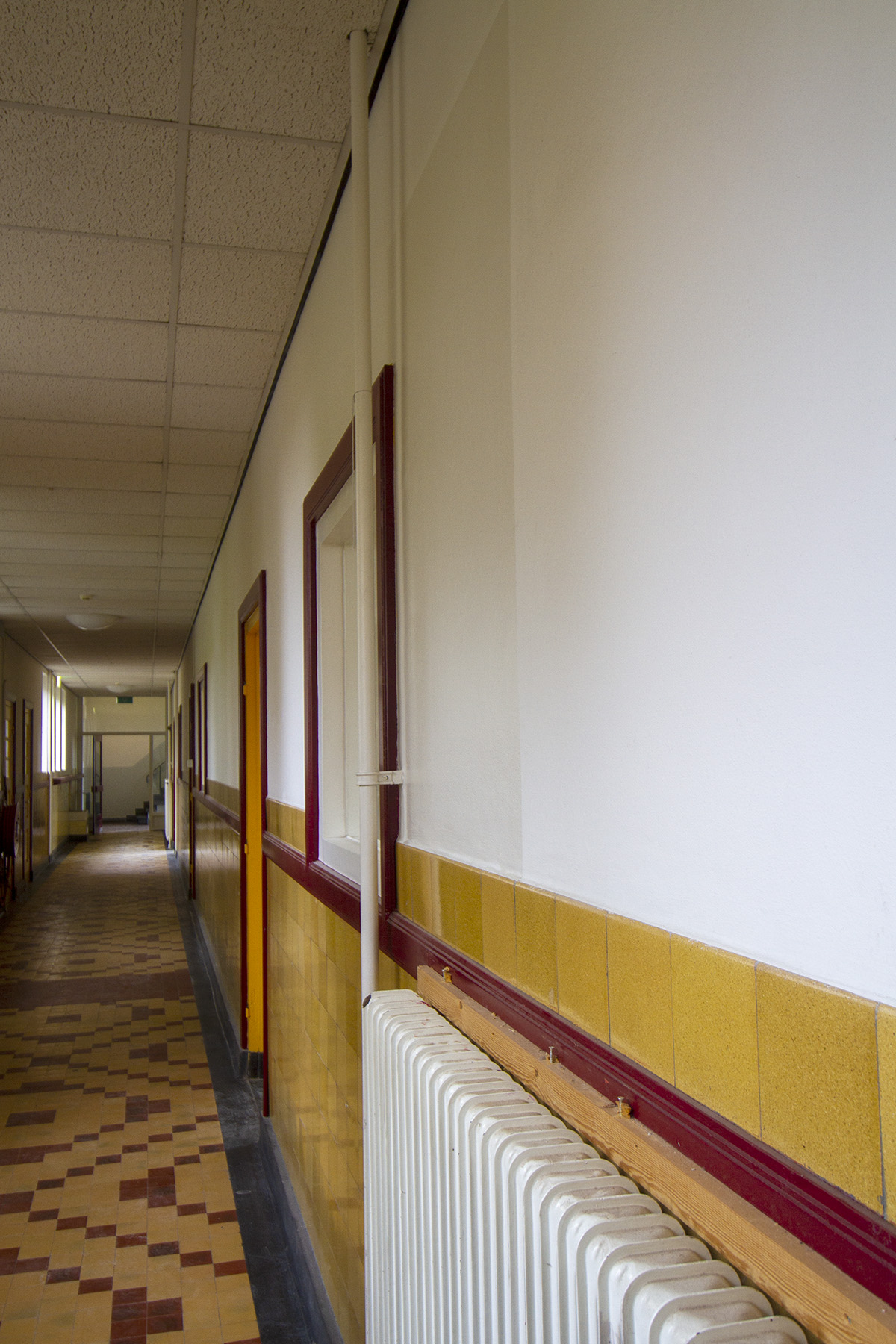 whenabirdflew_MG_9569